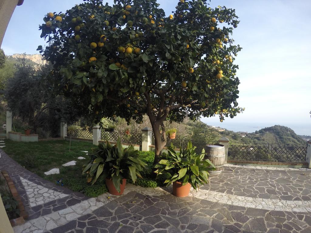Appartamenti Con Vista Panoramica Santa Maria Navarrese Exteriér fotografie